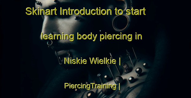 Skinart Introduction to start learning body piercing in Niskie Wielkie | PiercingTraining | PiercingClasses | SkinartTraining-Poland